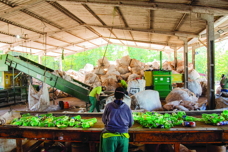 Coopervaí registra queda na produção mensal e renda dos cooperados de Paranavaí é afetada