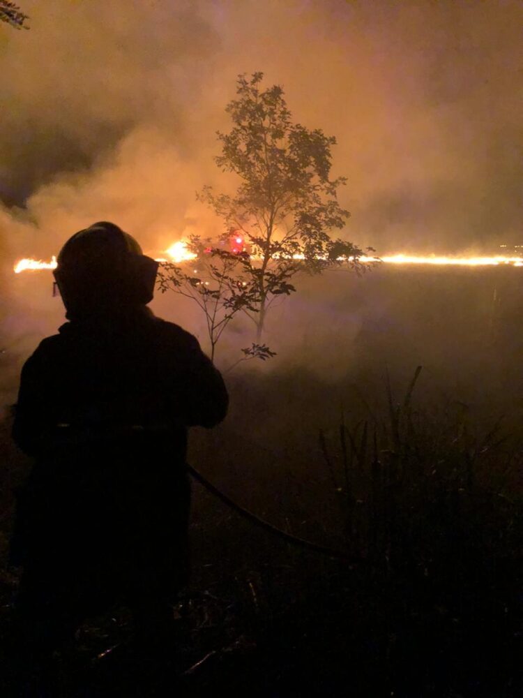 Paranavaí registra 84 incêndios ambientais no primeiro semestre