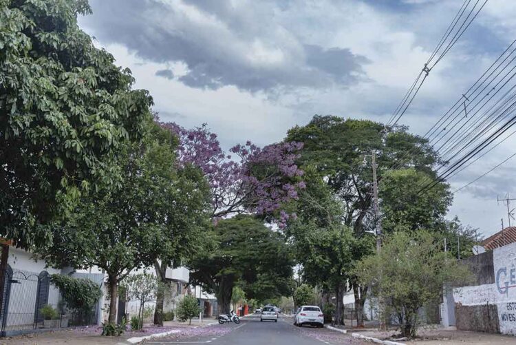 Nova onda de frio chega a Paranavaí e  temperaturas caem abaixo de 10 graus