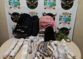 Jovens passariam drogas, celulares e  outros objetos para presos de Paranavaí