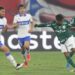 Palmeiras terá tabu de 11 anos a seu favor para avançar na Libertadores