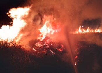 Incêndio destrói cerca de 10 mil m² de vegetação em um terreno em Paranavaí