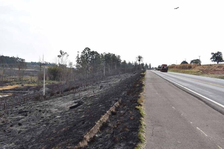 Desligamentos por queimadas aumentam 30% no Paraná