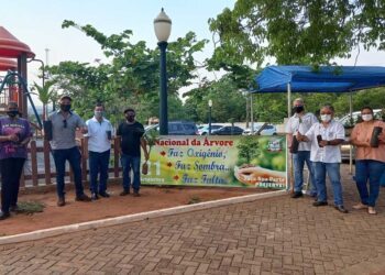 Município realiza campanha em comemoração ao Dia da Árvore