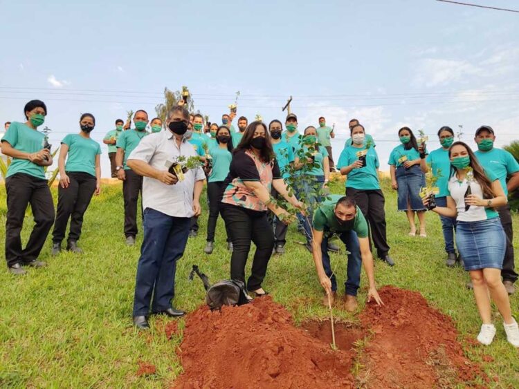 Dia da Árvore é comemorado com distribuição e plantio de mudas frutíferas