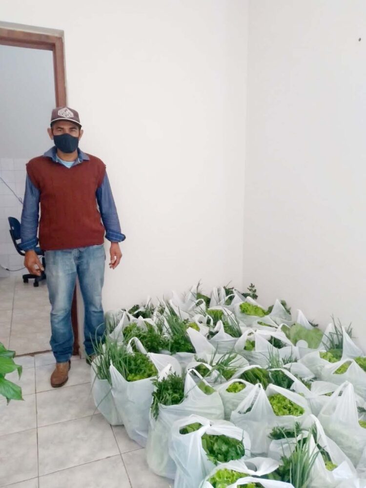 Produtores fornecem alimentos frescos para o município através do PAA