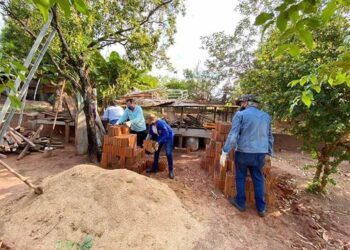 Escorpiões são encontrados em quintal  durante arrastão realizado por servidores