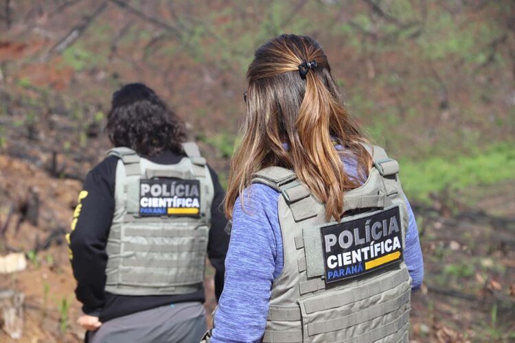 Seção de Crimes Ambientais fortalece proteção da fauna e da flora no Paraná