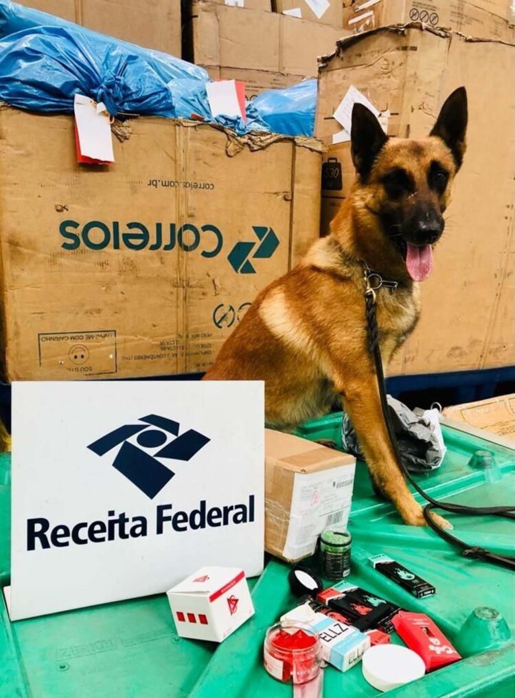 Receita Federal apreende projéteis para fuzis, drogas e mercadorias falsificadas nos correios do Paraná