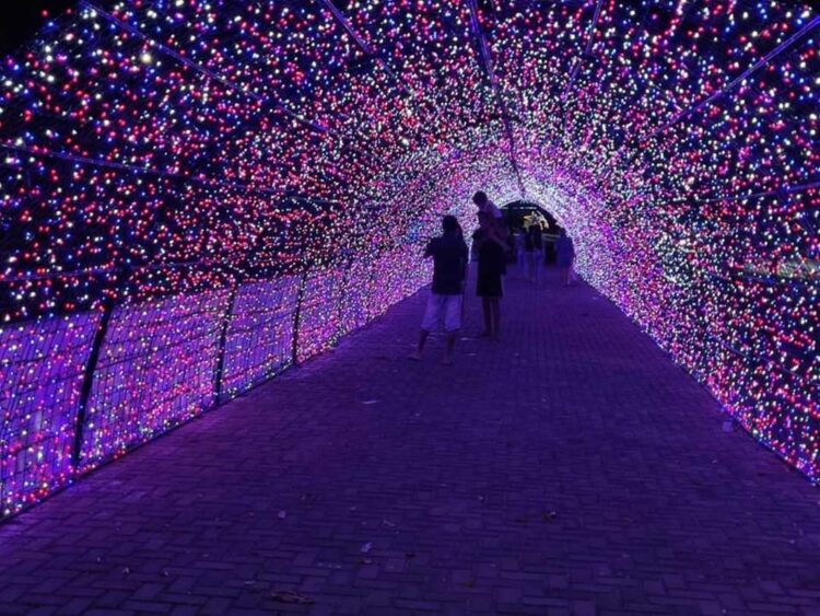 Orla de Porto Rico está toda iluminada e encanta moradores e turistas