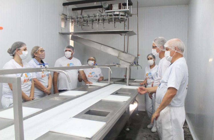 Frigorífico paranaense é o primeiro  do País a conseguir chancela sanitária