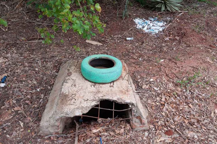 Casos de dengue estão em ascensão no Noroeste, alerta Regional de Saúde