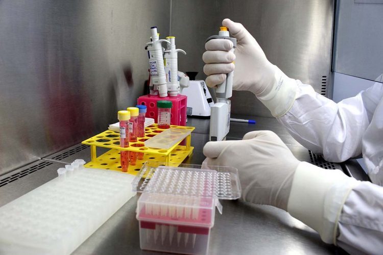 Tecpar seleciona projetos para testes rápidos de doenças tropicais