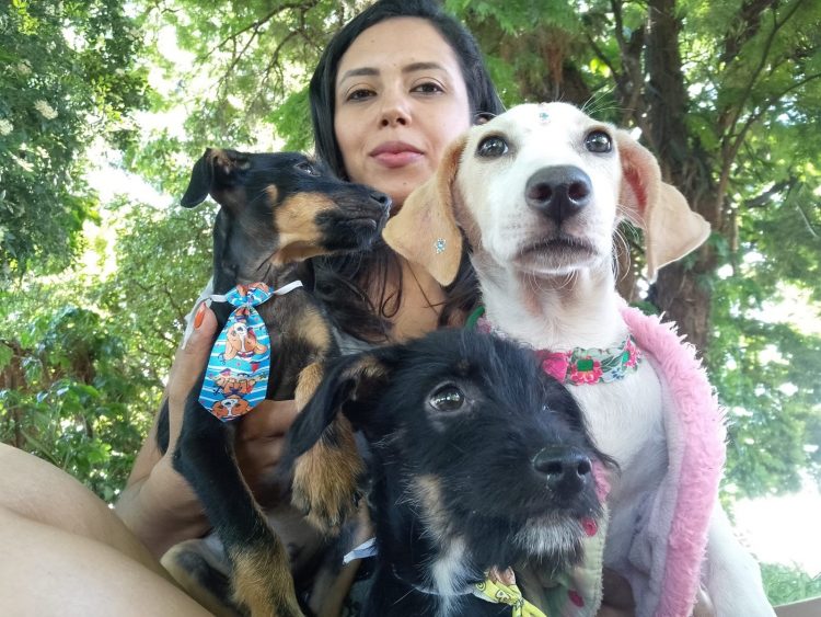 Grupo de Paranavaí que acolhe animais em condição de rua pede ajuda da comunidade