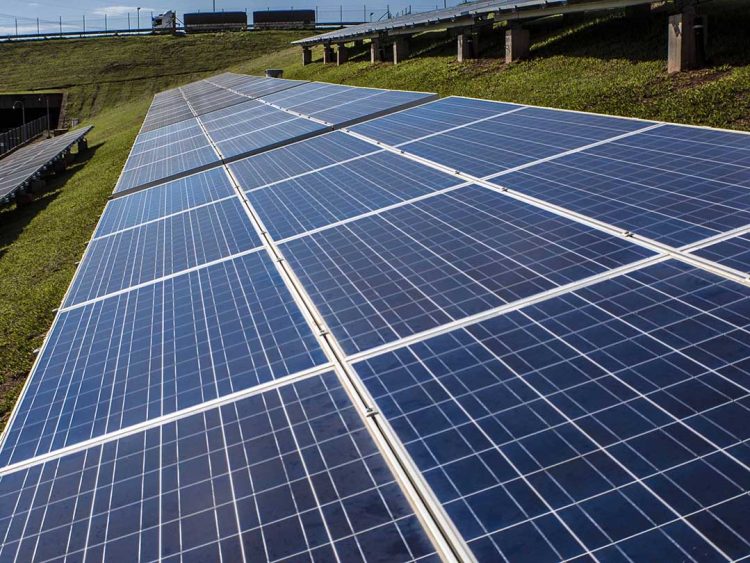 Energia solar em casa leva de 4 a 7 anos para dar retorno; entenda