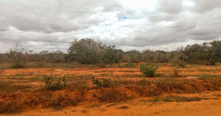 Mais 34 cidades atingidas por estiagem ou seca entram em situação de emergência