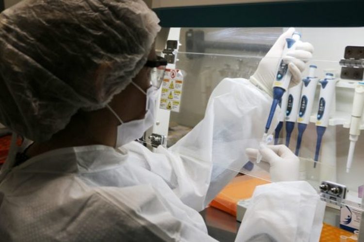 Paraná registra mais 13.979 casos e 83 óbitos por Covid-19