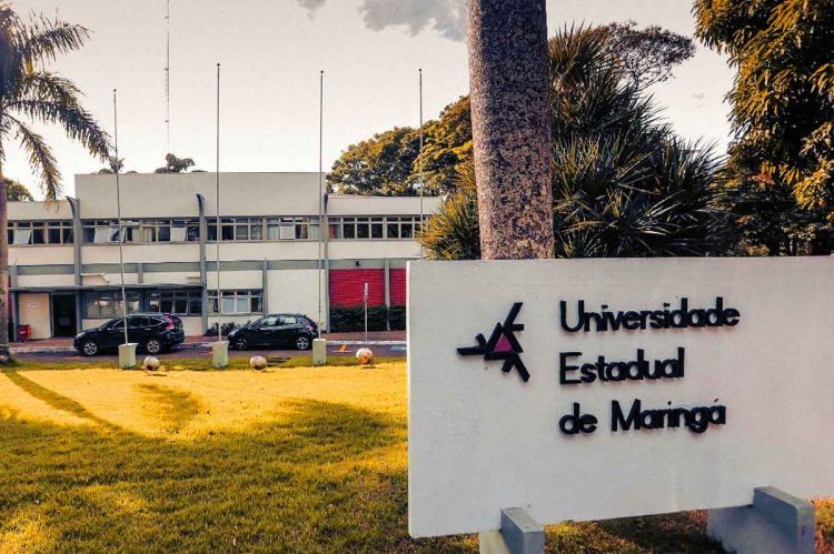 UEM abre inscrição de vestibular para pessoas com deficiência