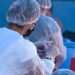 Cai para 25 o número de casos positivos de Covid-19 em Paranavaí