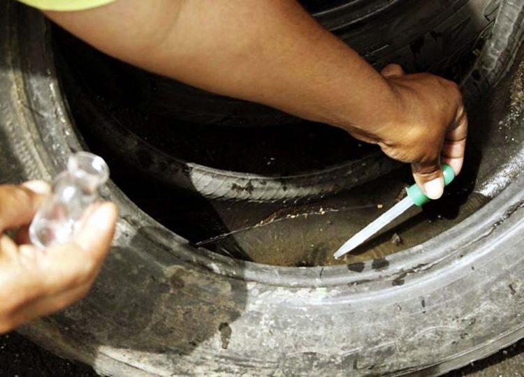 Casos de dengue aumentam e 48%