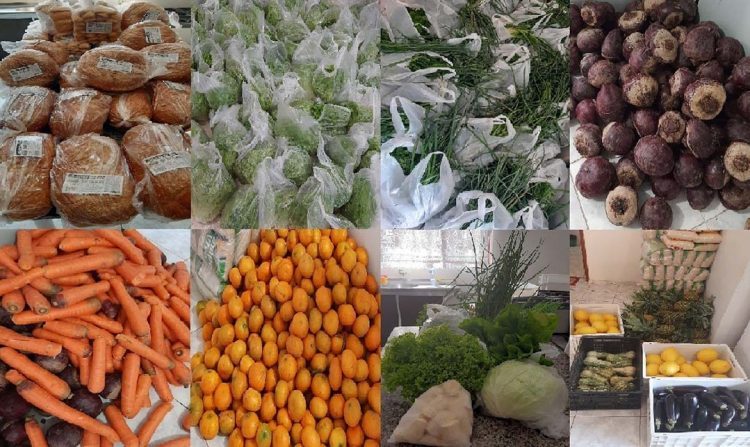Programa de Aquisição de Alimentos tem beneficiado 112 famílias do município