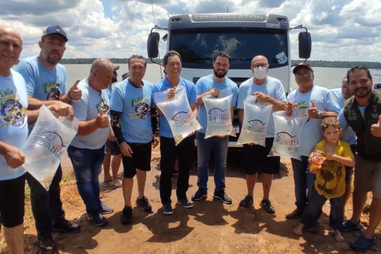 Projeto solta 105 mil peixes no Rio Paranapanema