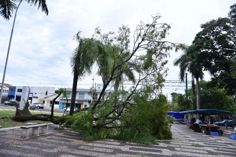 Forte chuva atinge Paranavaí e provoca inúmeros estragos