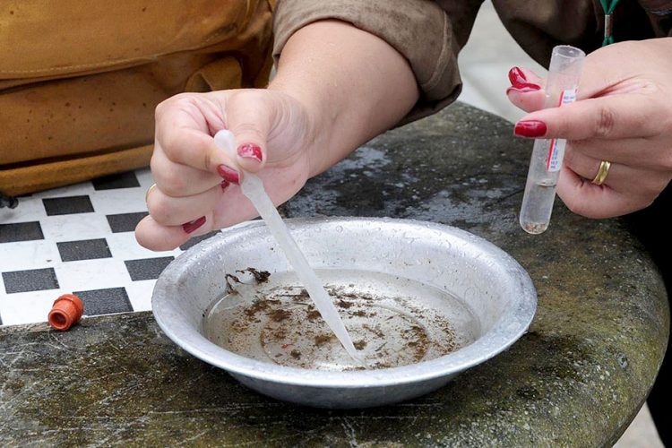 Sesc PR promove ação de mobilização  contra a Dengue em todo o Paraná