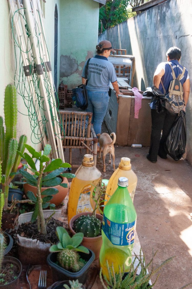 Paranavaí já está em estado de epidemia de dengue