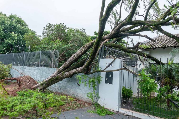 Equipes seguem com trabalhos para reparar  danos provocados pelo temporal de quarta-feira