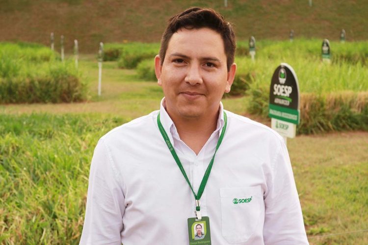 Conservação do solo é fundamental para  manutenção da produção de alimentos