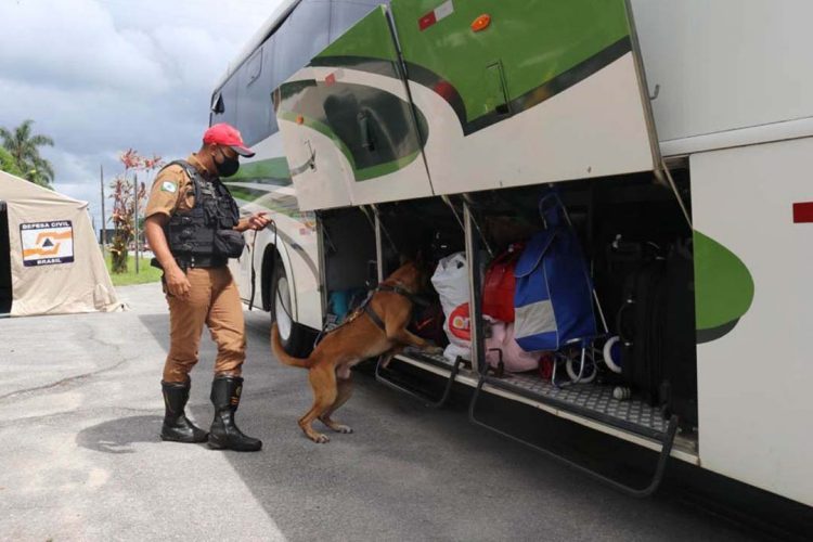Rodovias estaduais terão reforço de policiamento durante o feriado