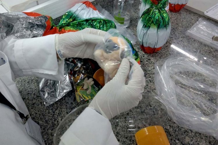 Ovos, chocolates e produtos artesanais: Ipem-PR dá dicas para compra de produtos da Páscoa