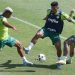 Palmeiras encara clássicos seguidos para apagar pior início desde 2014