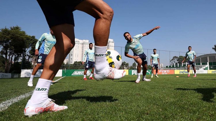 Palmeiras busca vaga nas oitavas em jogo de volta