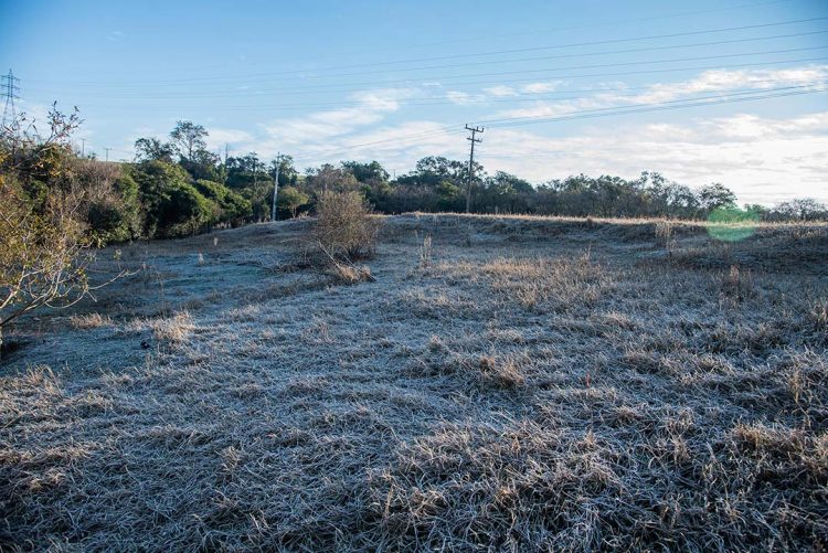 Queda na temperatura e ventos fortes exigem cuidados dos produtores rurais