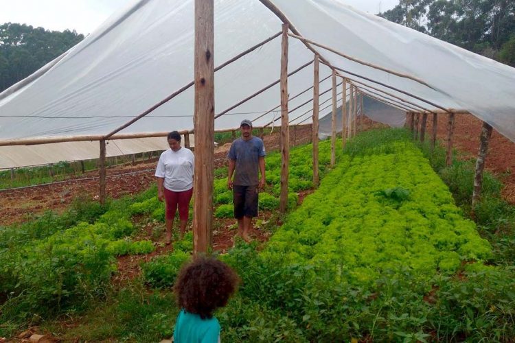 Renda Agricultor Familiar investe R$ 18 milhões para melhorar vida dos paranaenses do campo
