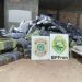 Batalhão de Fronteira e Polícia Federal apreendem 2,8 toneladas de drogas