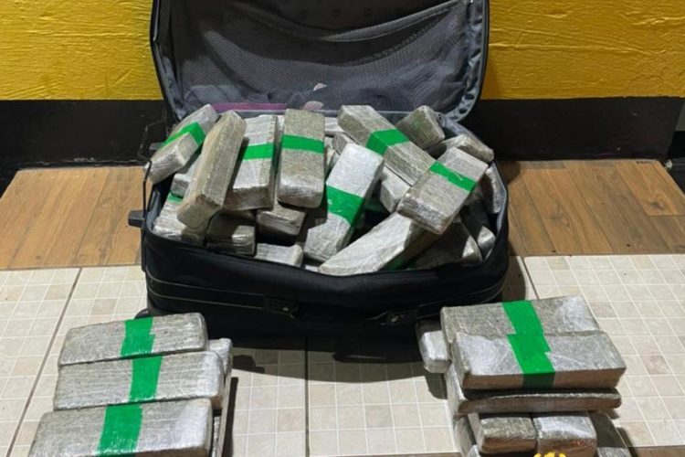 Policiais apreendem 80 quilos de maconha em operações no Estado