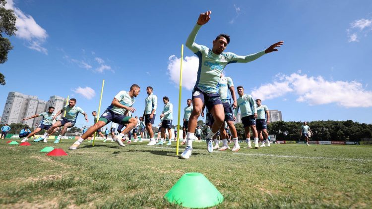 Com nova série invicta, Palmeiras vive melhor fase com Abel Ferreira