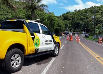 Receita abre consulta ao 1º lote de restituição do Imposto de Renda