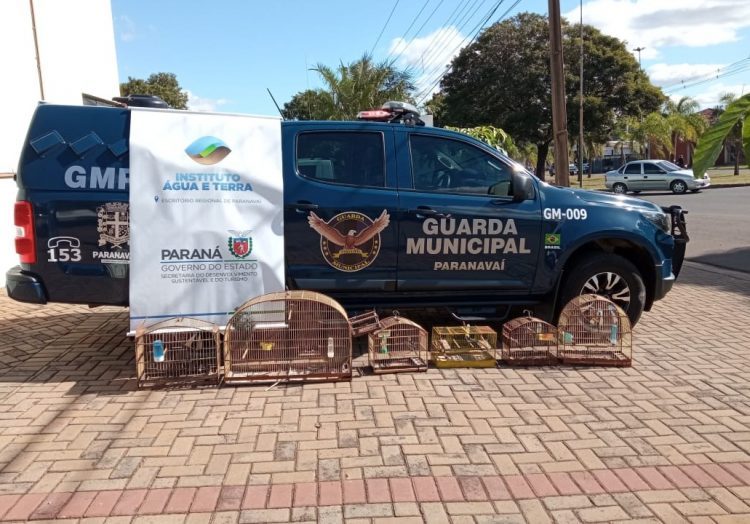 IAT e Guarda Municipal de Paranavaí resgatam aves silvestres mantidas em cativeiro