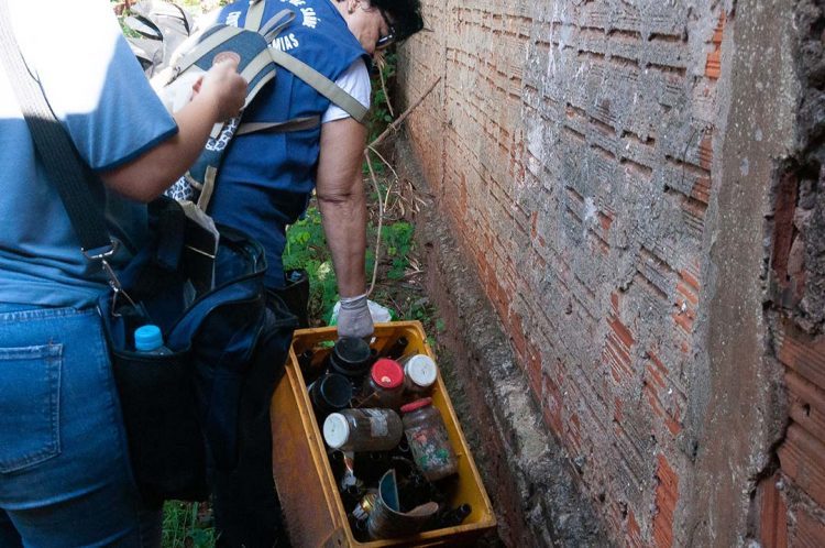 Sesa confirma duas mortes por dengue no Noroeste do Paraná