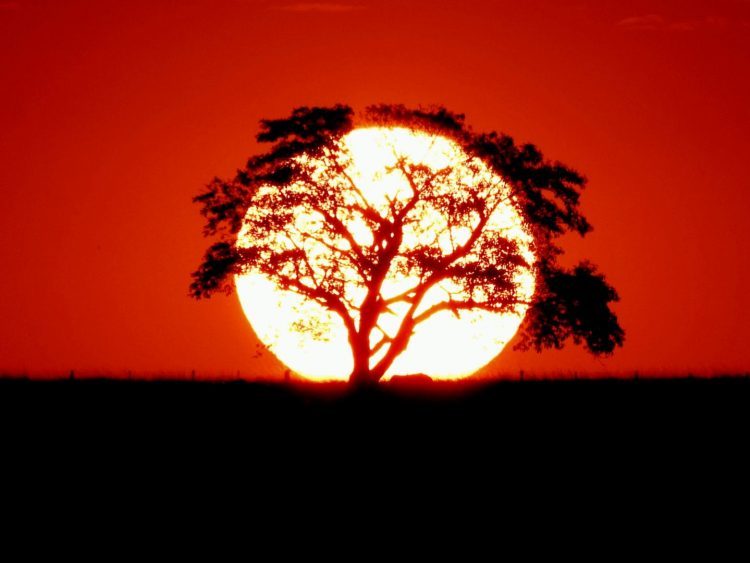 Confira as primeiras fotos do “Fotografe o Noroeste”