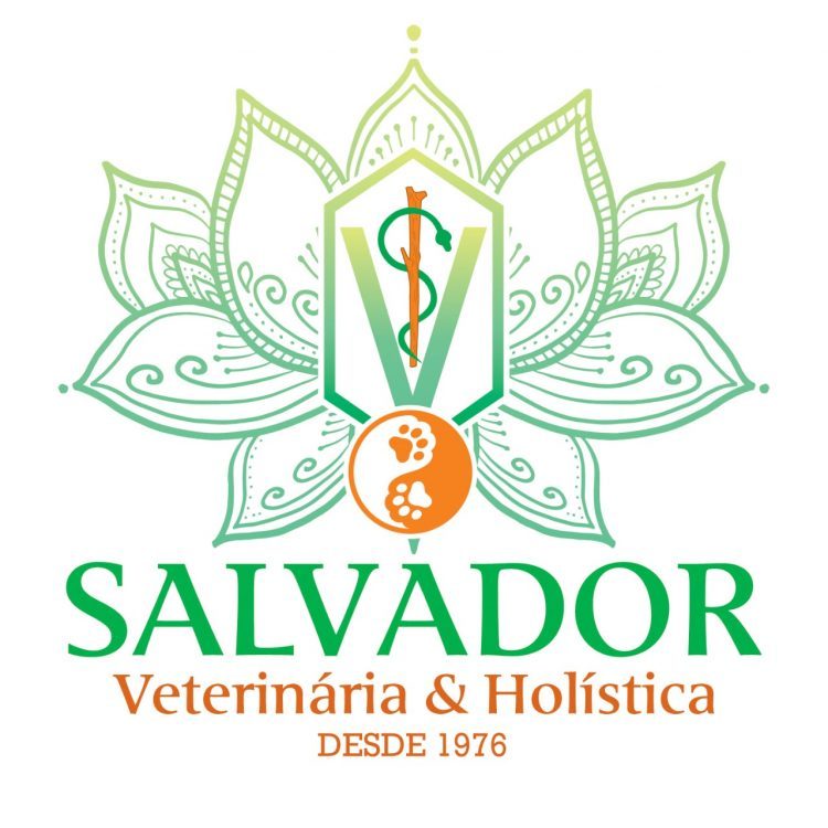 Oração de cura e paz para animais enfermos