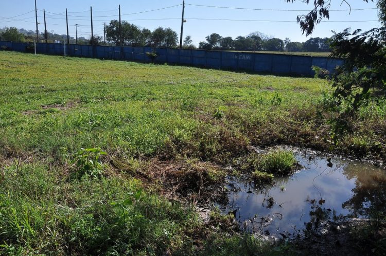 Descarte irregular de água compromete gramado do campo de futebol no Distrito de Graciosa