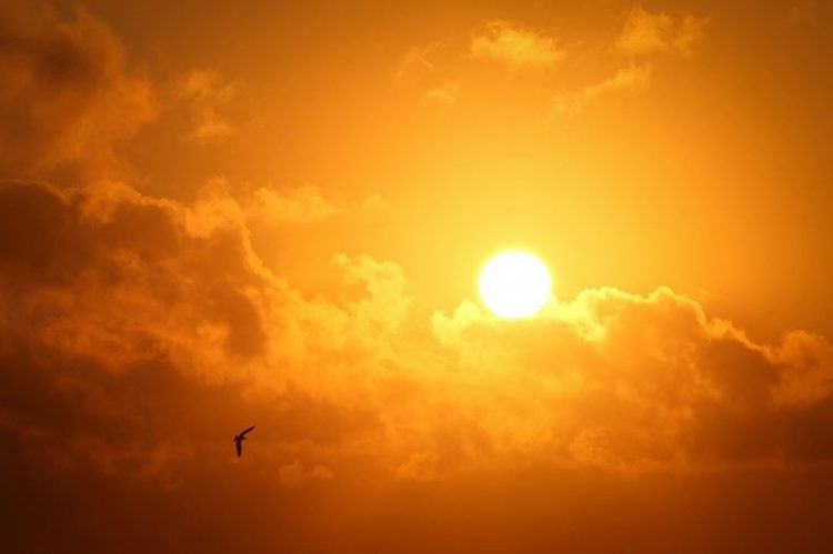 ‘Veranico’ segue até a próxima semana; só há previsão de chuva para quinta-feira