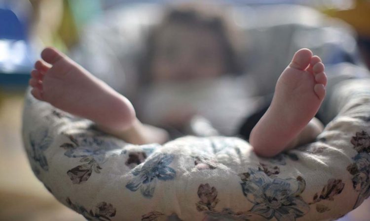 Agência Brasil explica: o que é a entrega voluntária de crianças