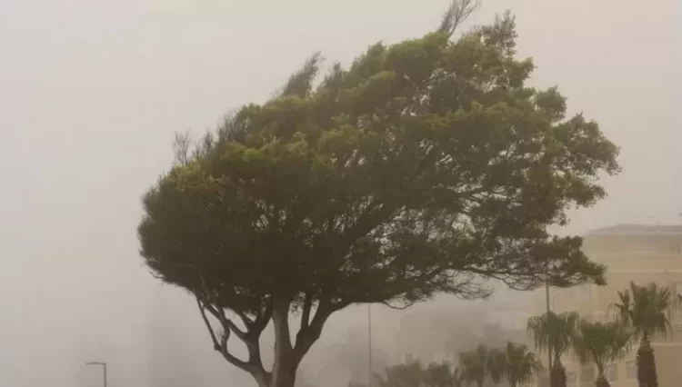 Ciclone extratropical causa ventos de até 100 km/h em SC