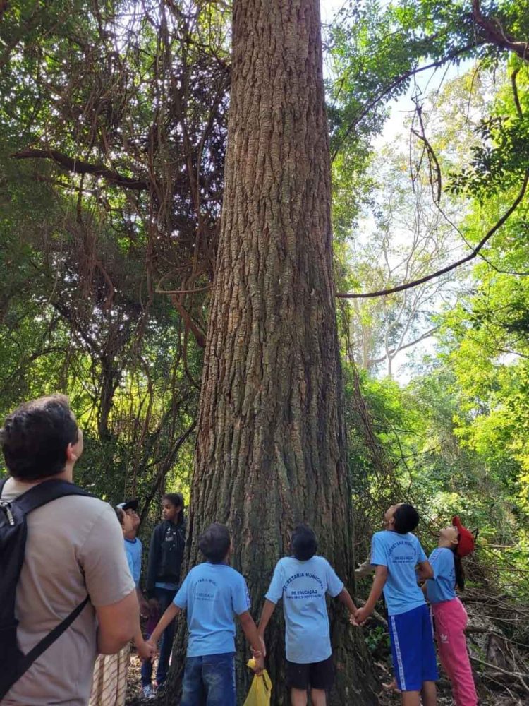 Município realiza atividades de campo com  alunos de Santa Cruz de Monte Castelo
